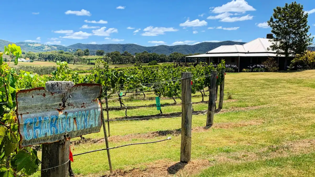 Hanging Tree winery in the Hunter Valley, NSW.