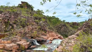 Litchfield vs Kakadu: Which Top End national park is best?