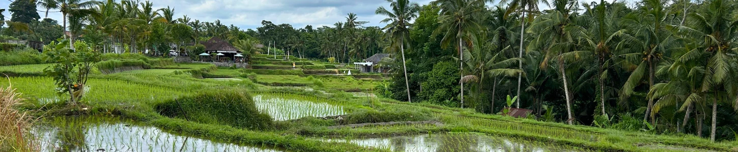 Our guide to spending 3 days in Ubud, Bali