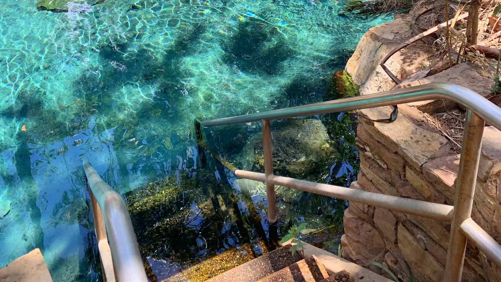 Clear blue water at Mataranka Thermal Pool