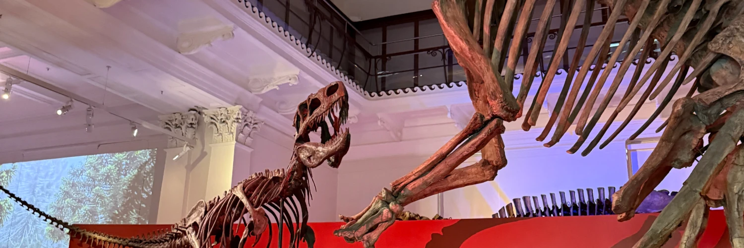 Dinosaur exhibit at the Australian Museum