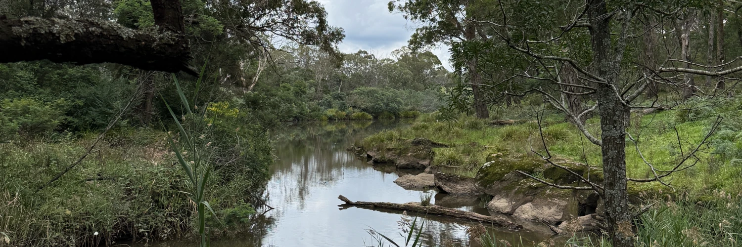 Best towns in the Southern Highlands