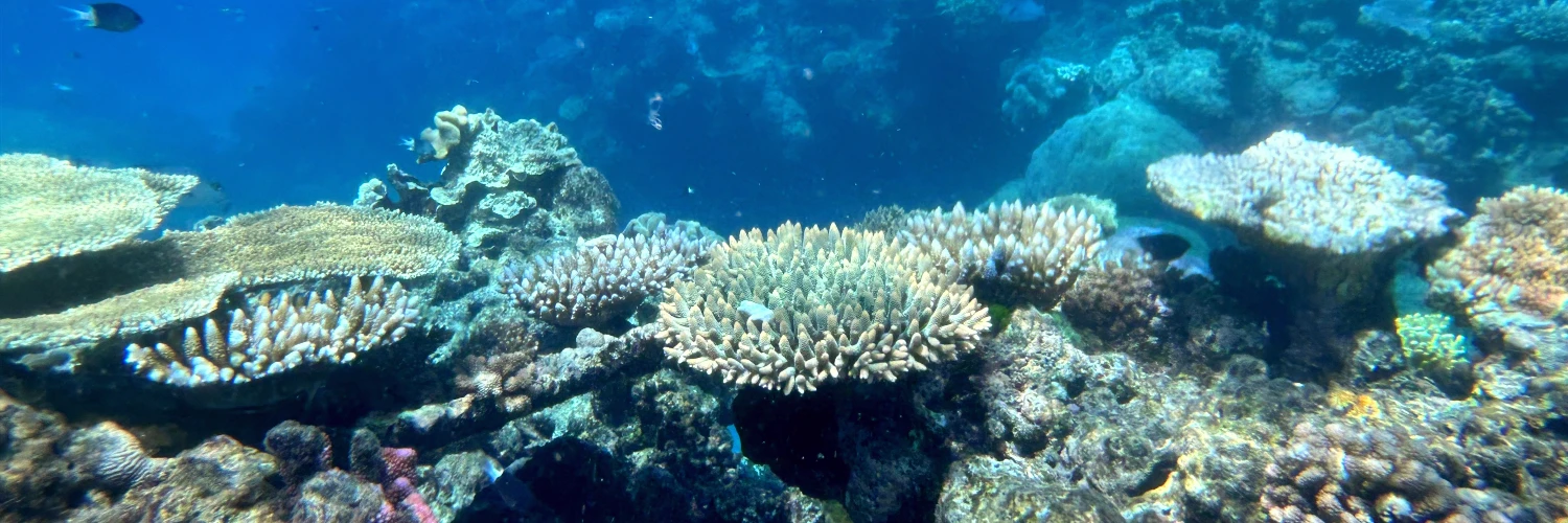 Where to stay to visit the Great Barrier Reef