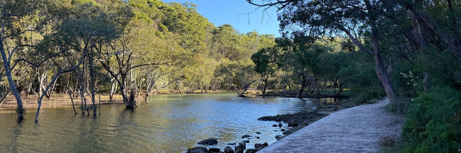 Weekend bushwalk idea: Two Creeks Track