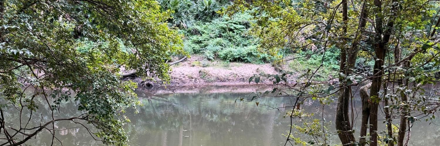 Riverside walks in Sydney to try this weekend