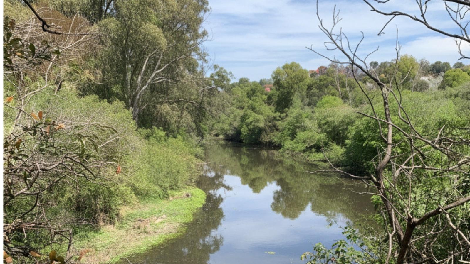 Weekend bushwalk idea: Two Valley Trail along Wolli Creek