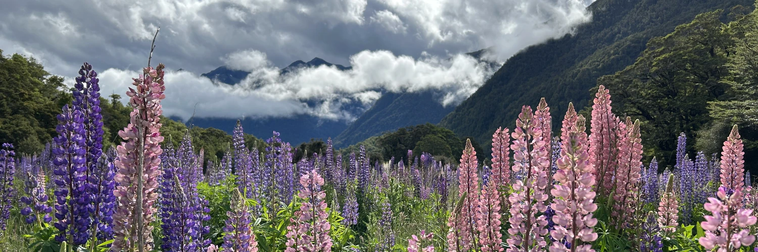 Easy weekend getaways in New Zealand from Australia