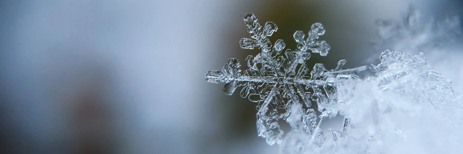 5 places you can see snow near Sydney
